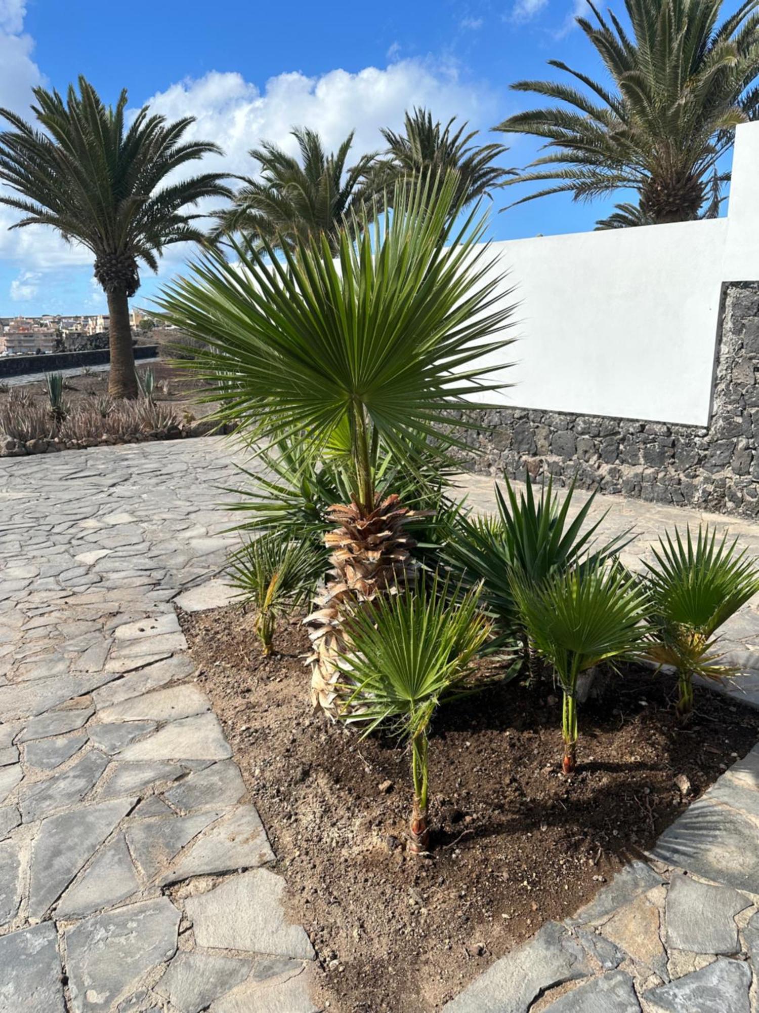 Apartment Balcon Del Mar Tenerife