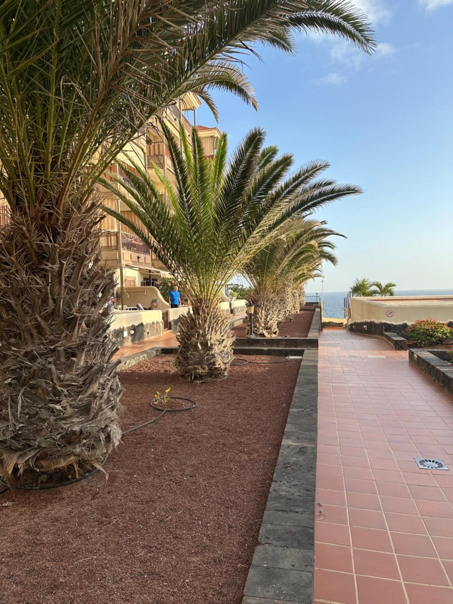Balcon Del Mar Tenerife *
