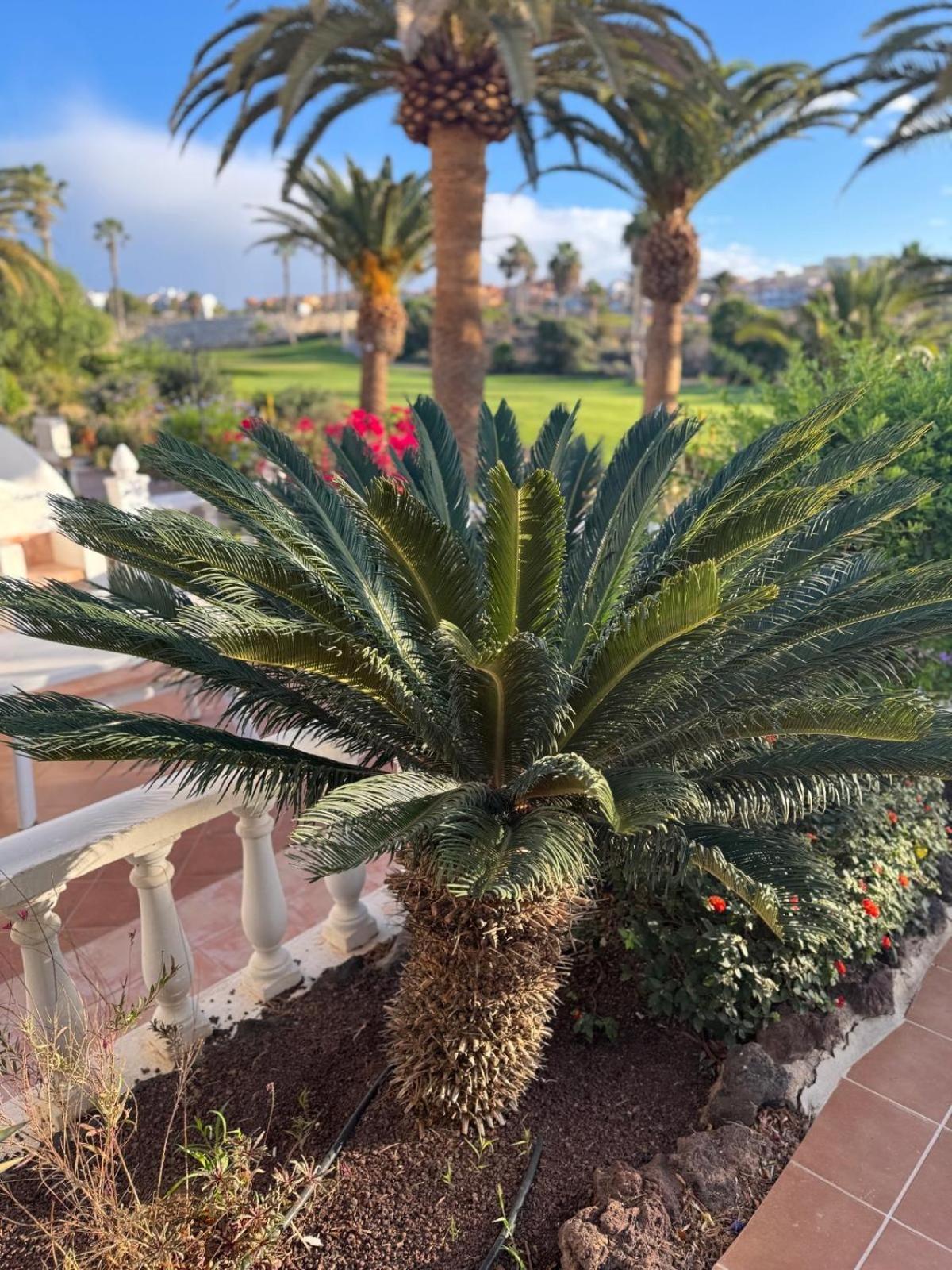 Balcon Del Mar Tenerife *
